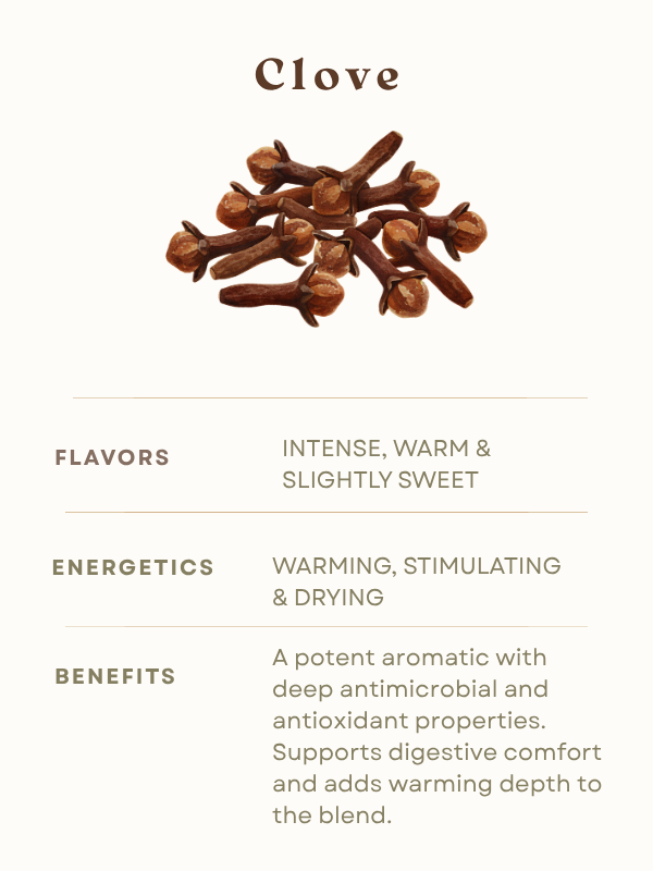 Clove Herbal Tea Healing information flavor energetics benefits antioxidant digestion antimicrobial