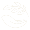 A hand holding a sprouting plant with leaves
