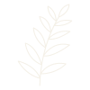 Simple white illustration of a sprig with leaves on a black background.