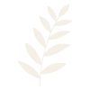 A simple illustration of a leaf branch with multiple slender leaves.