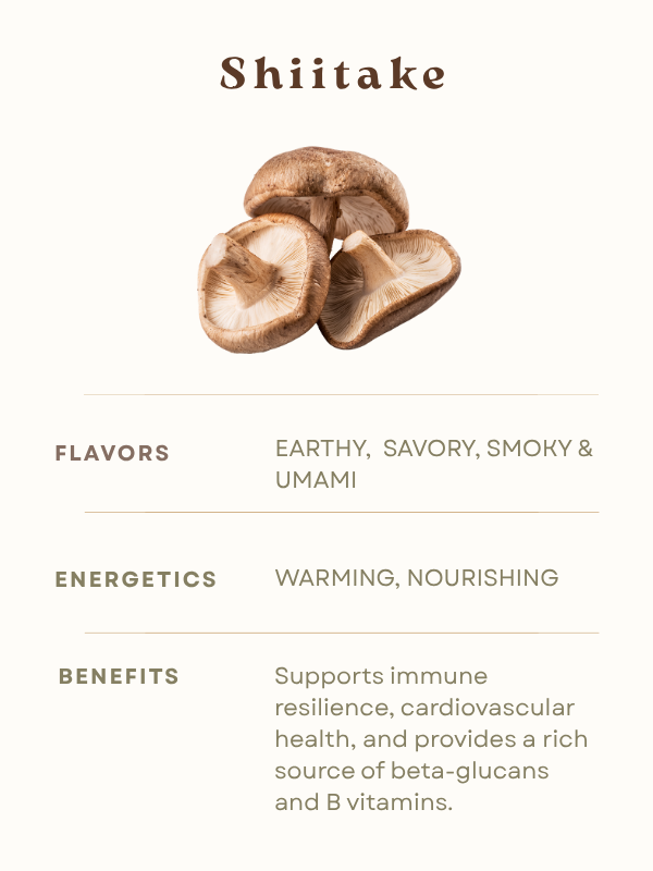 Shiitake Mushroom Flavor Benefits Energetics