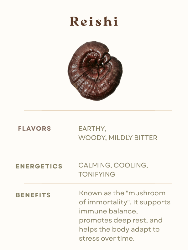 Reishi Mushroom Tea Flavor Energetics Benefits