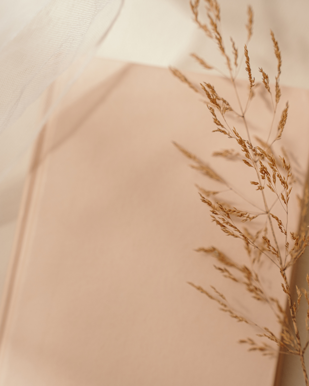 Close-up of an open book with blank pages, decorated with dried grass stems on a neutral background.