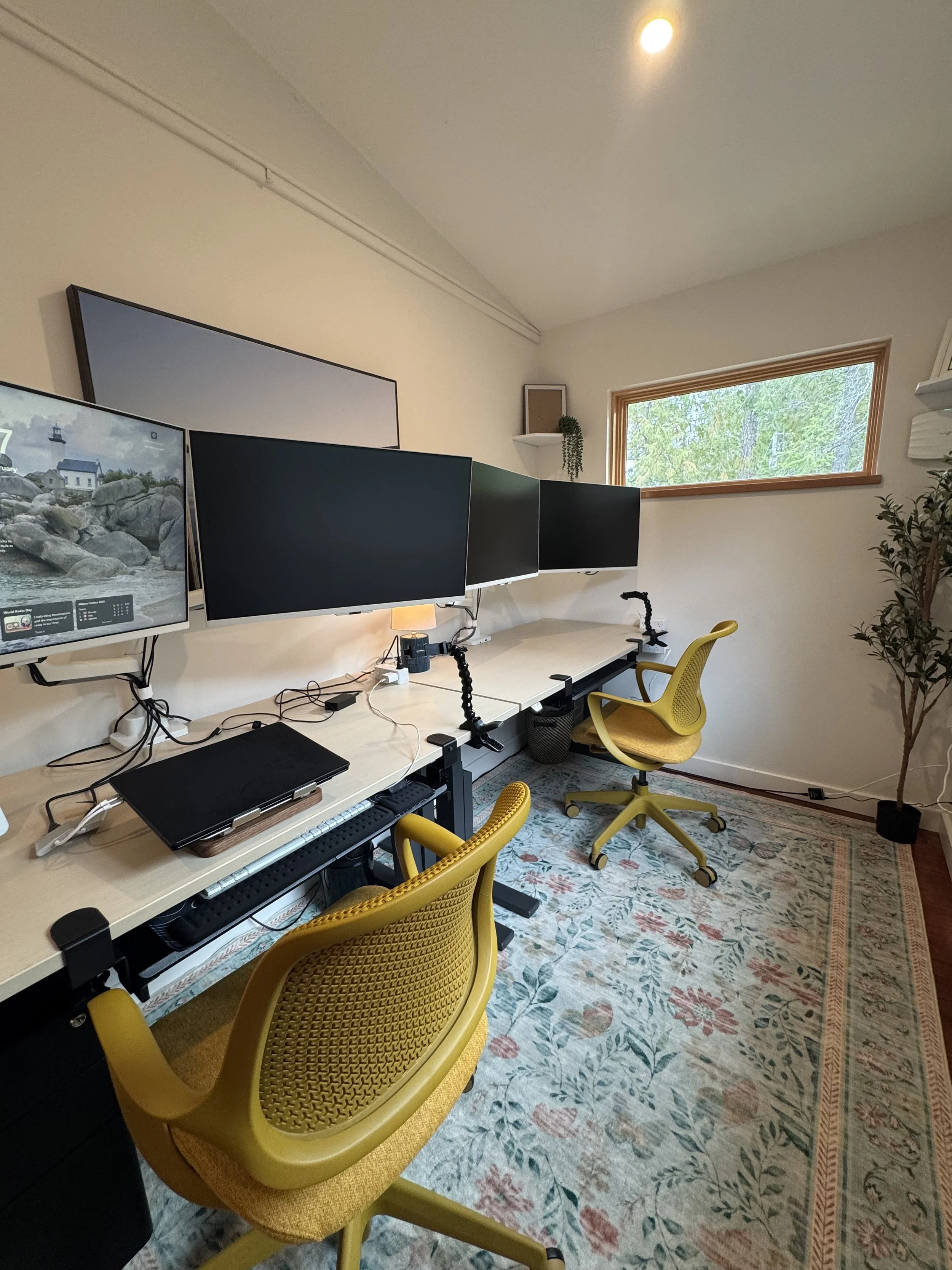 Home office with a large window, a long desk with four monitors and office supplies. Two yellow office chairs with wheels and a patterned rug. Indoor plants and wall shelves in the background.
