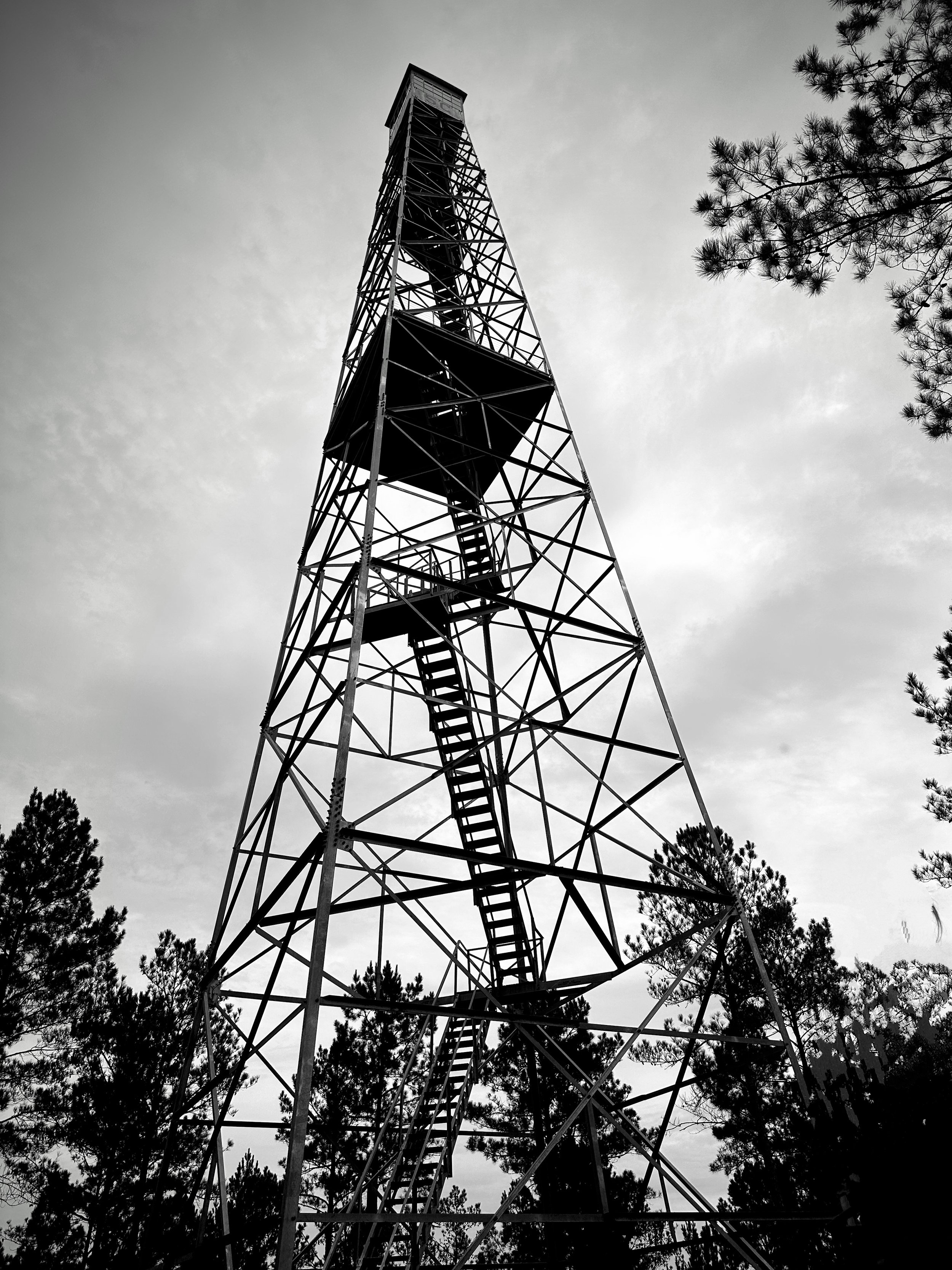 Fire Tower in Alabama