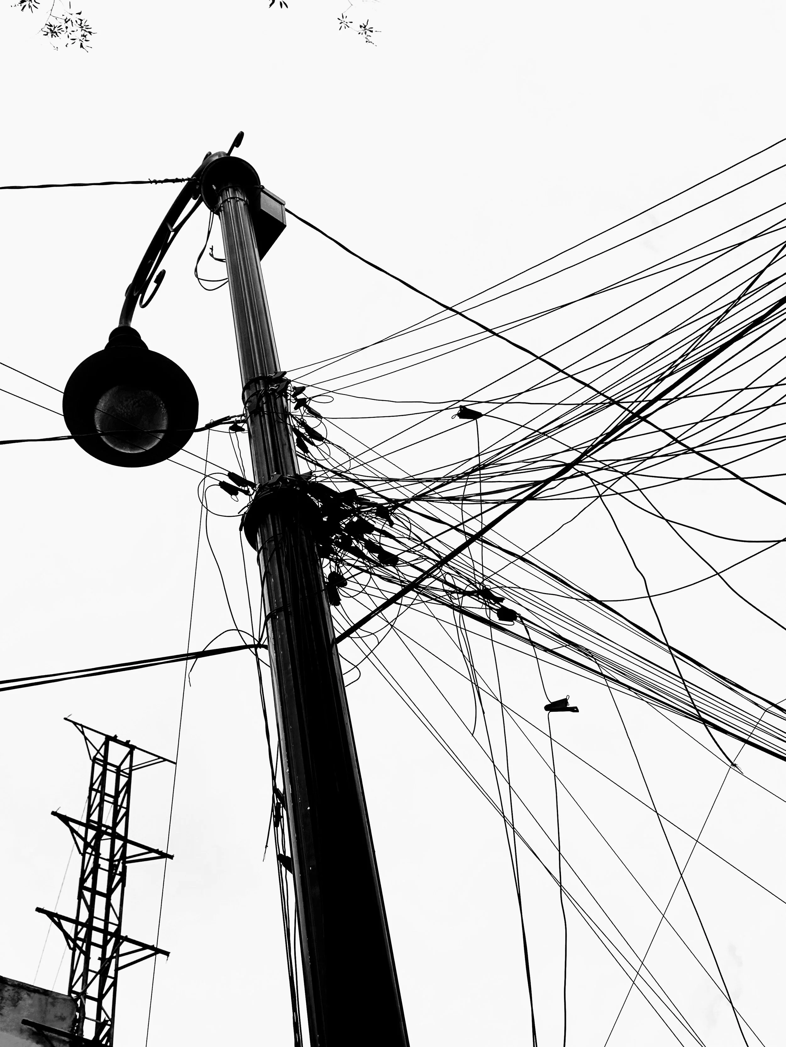 Look up at the light post