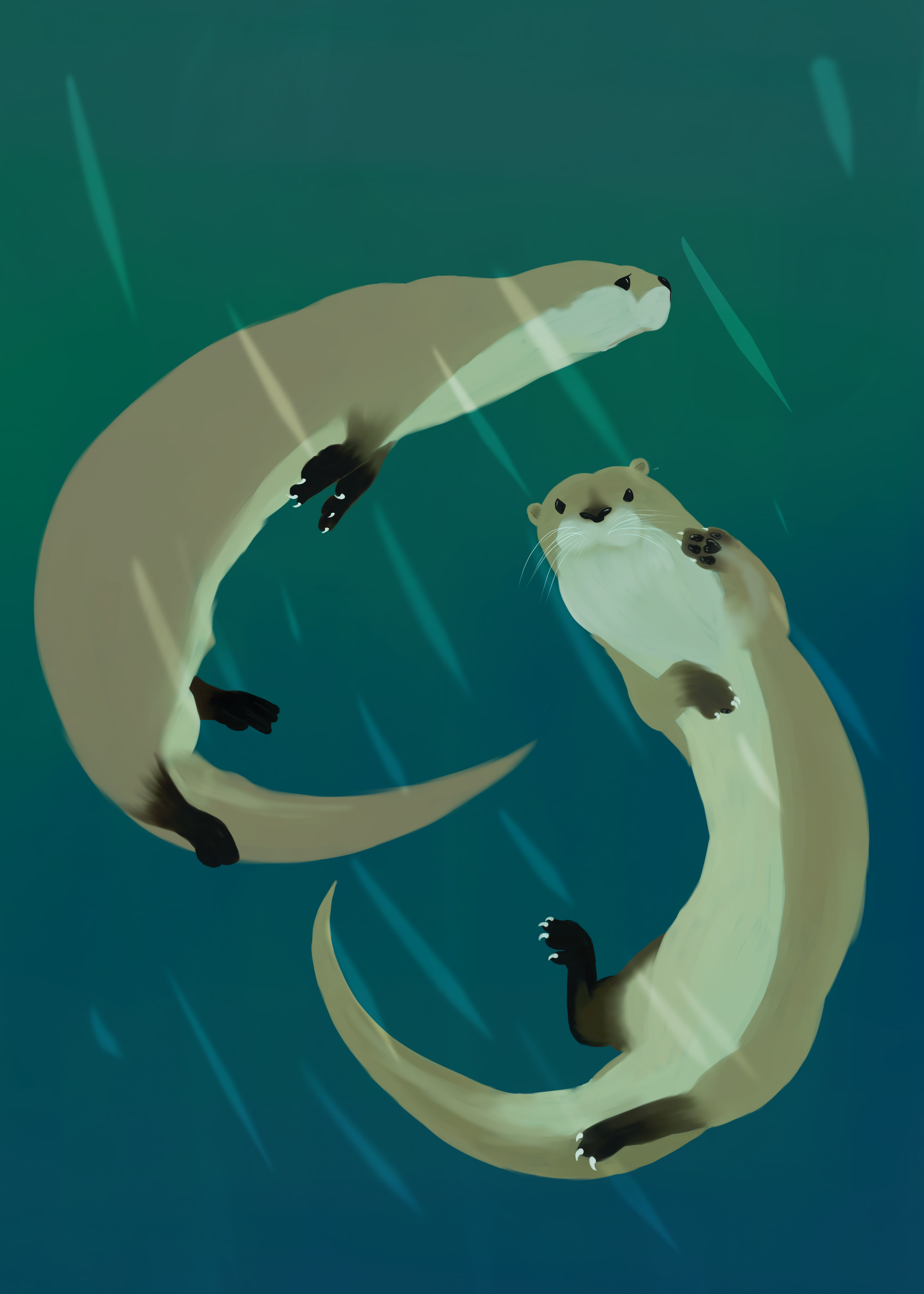 Two otters swimming underwater behind glass