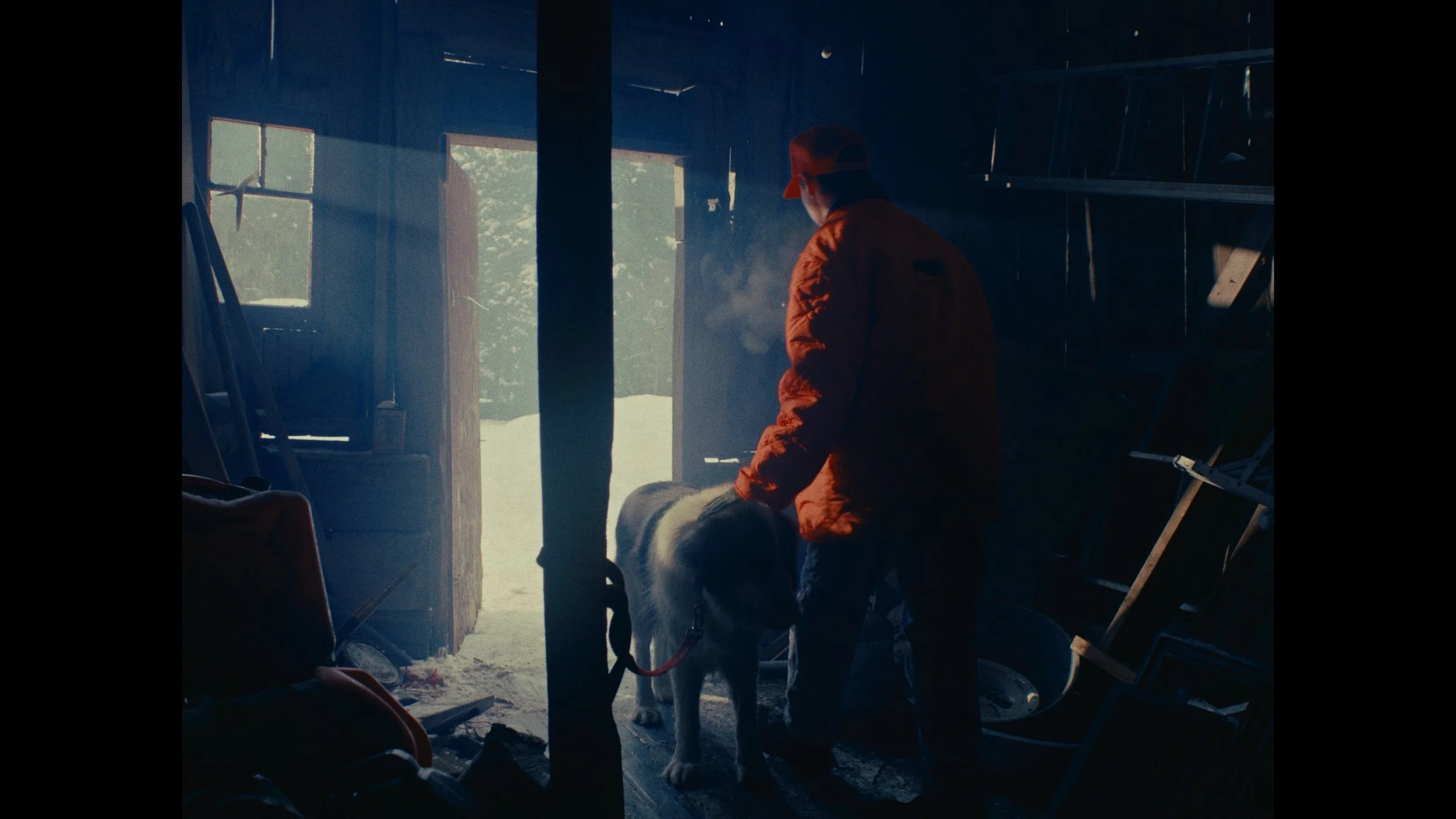 Still 2026-03-03 162928_2.5.1.jpg