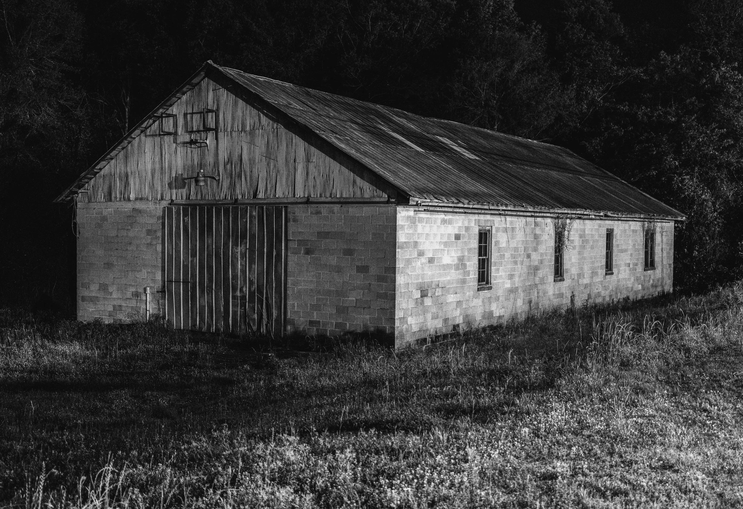 20260409ILCE-7M406180766_A741048-HDR.jpg