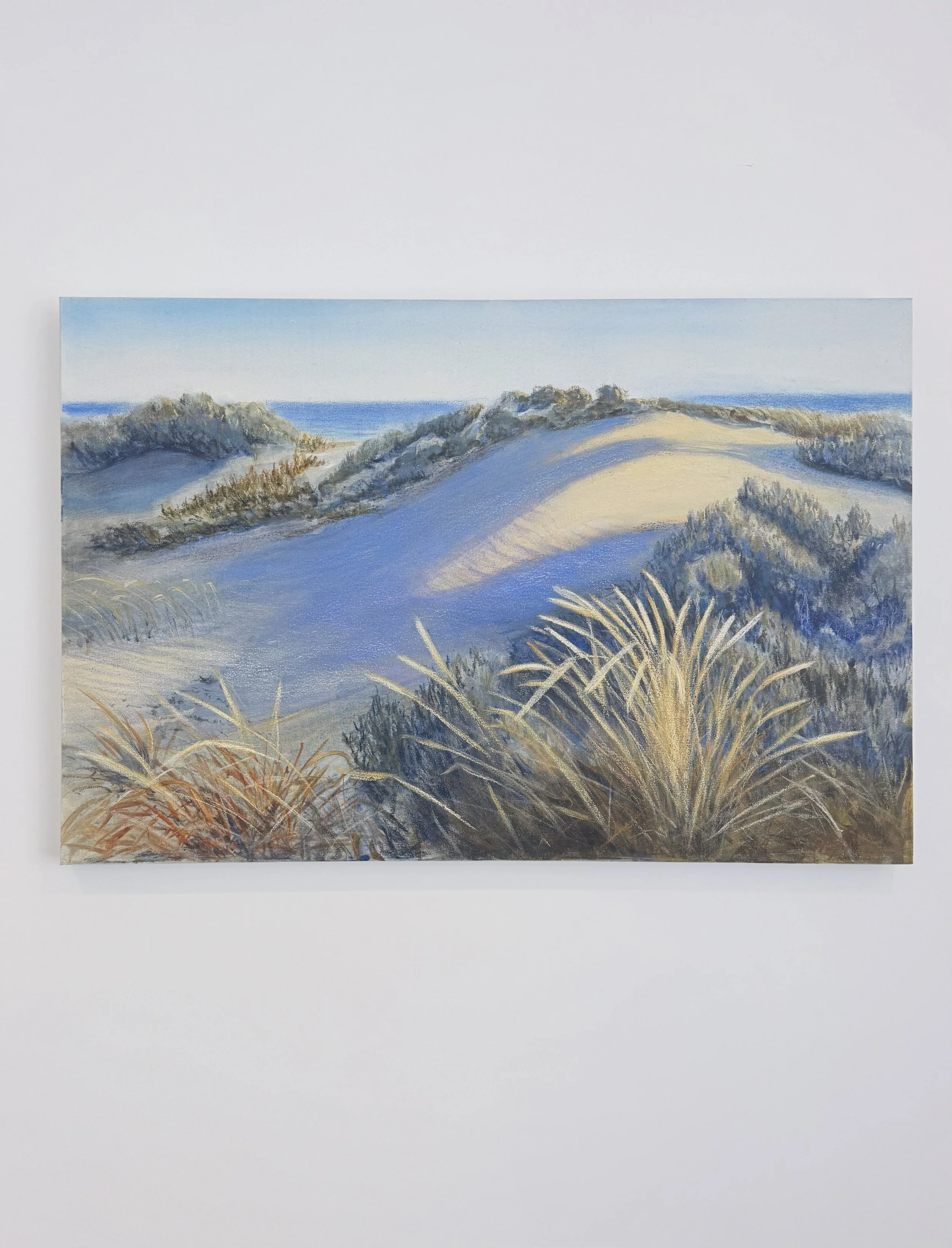 Anastasia Wright Fremantle Doctor Hanging.jpeg