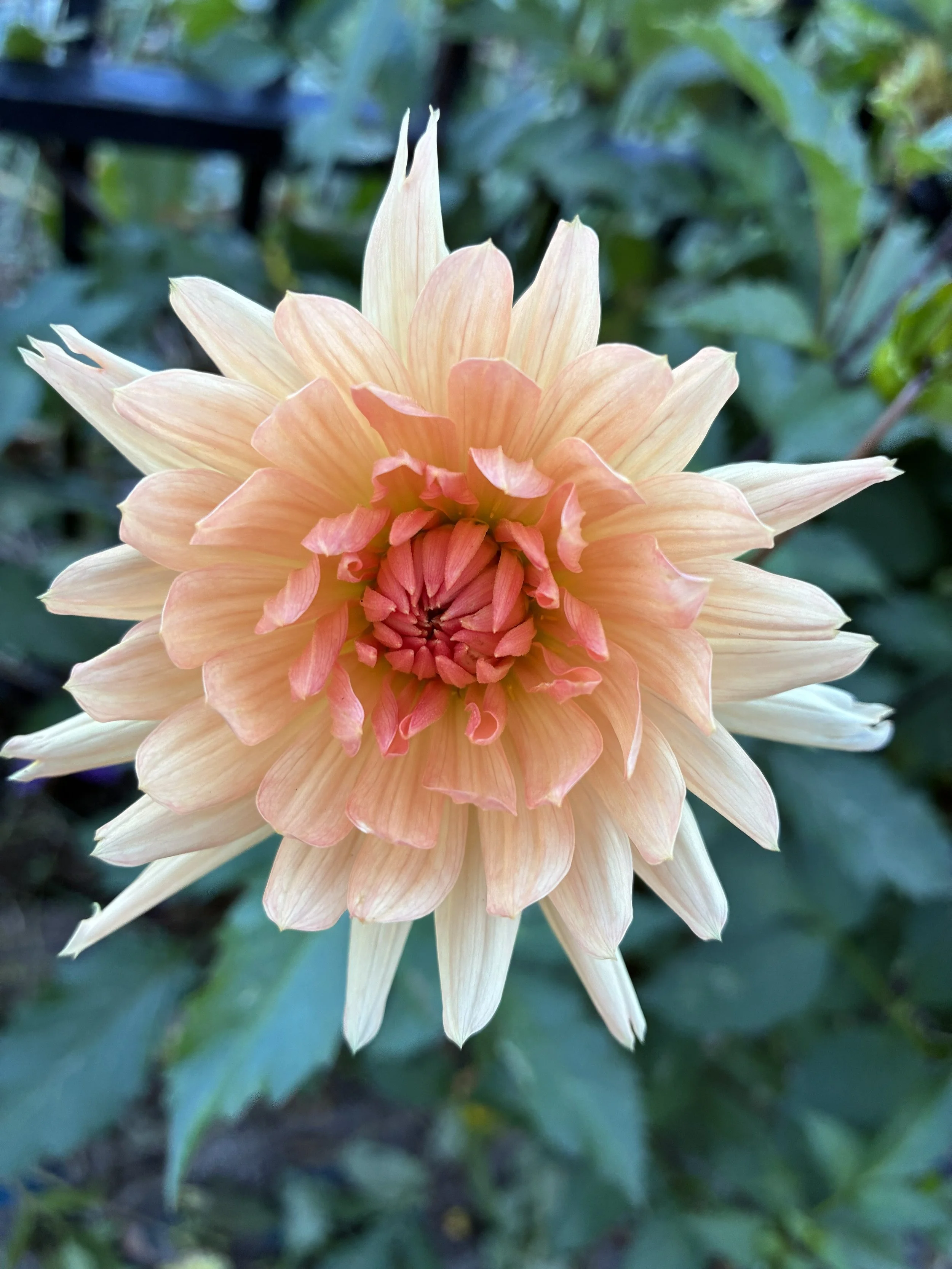 IMG_20260224_105631 (1).jpg