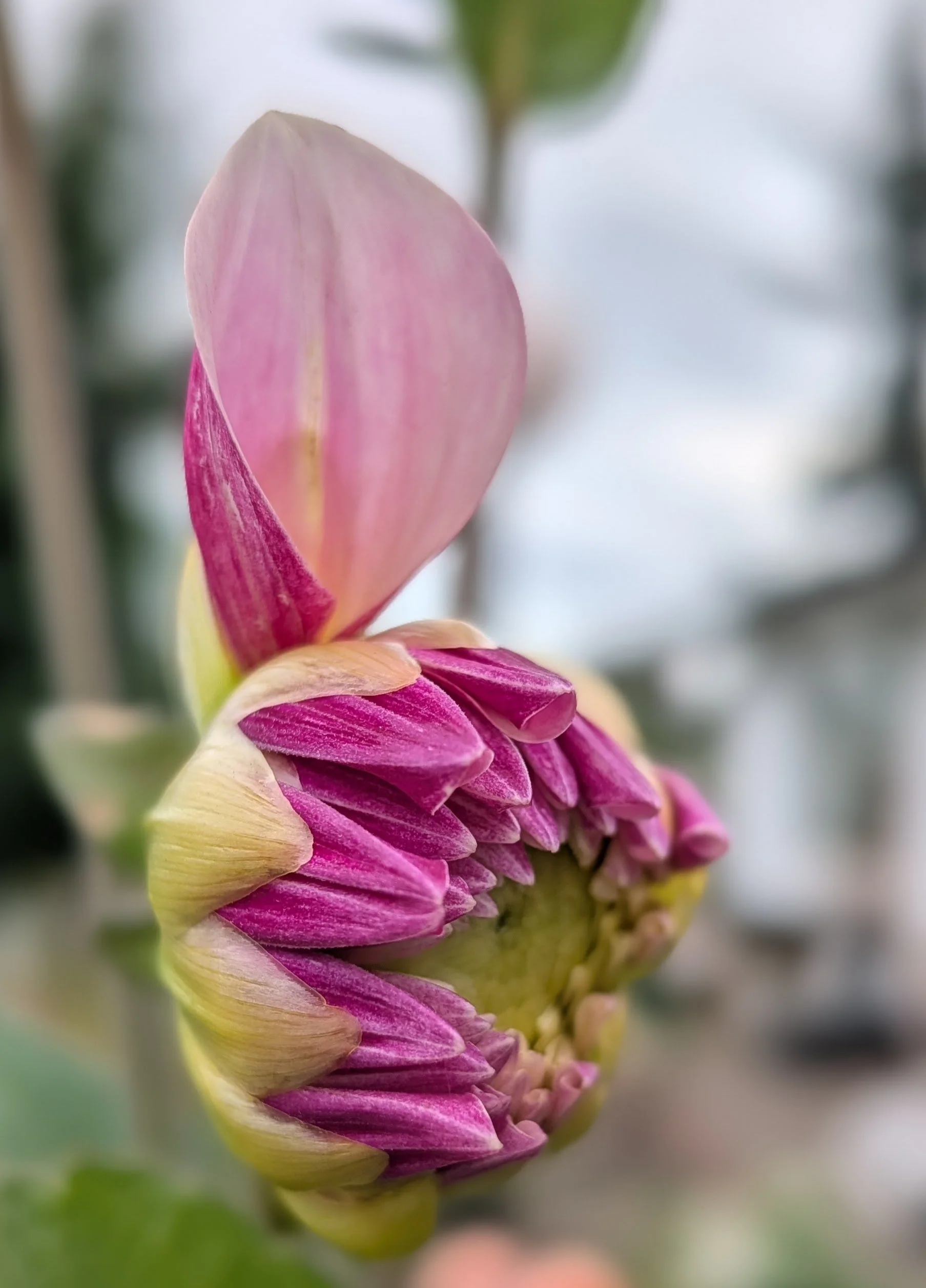ef5b8993-3c52-44ad-b996-d2a70cac1cc4-1_all_53337.jpg