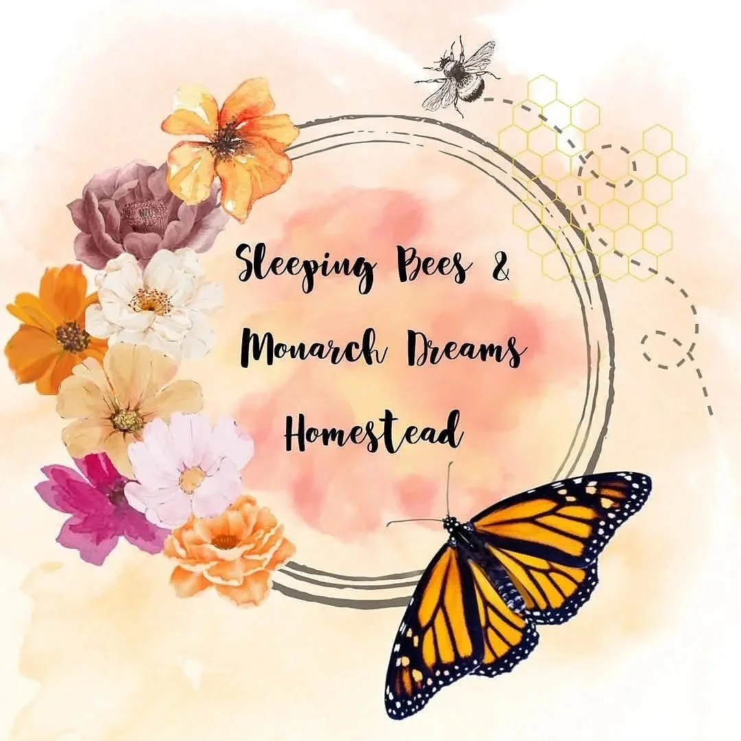 Sleeping Bees &amp; Monarch Dreams  