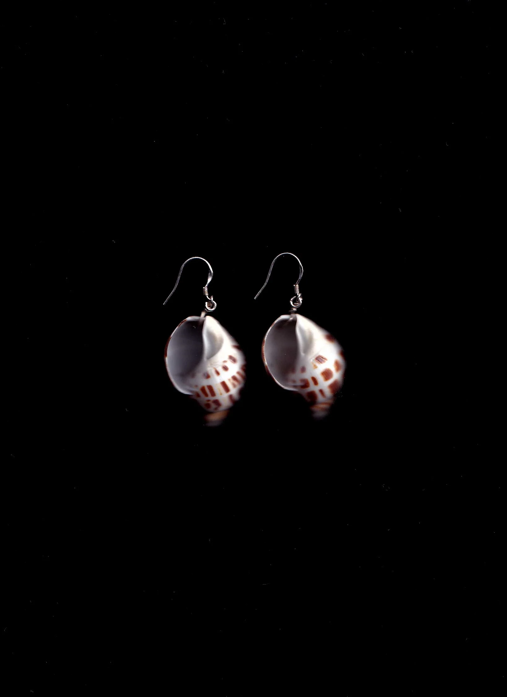 earrings_hermitshell.jpg