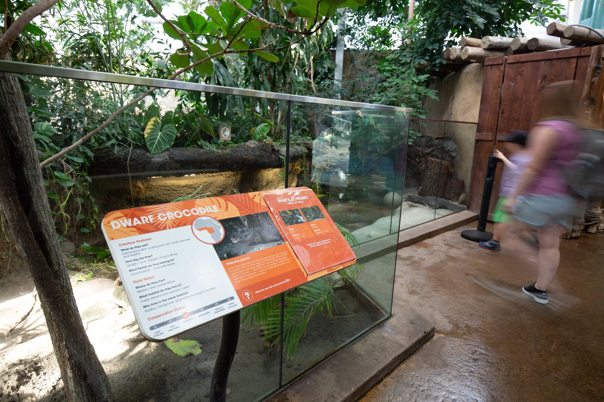 Environmental Design: Zoo Signage Brand Refresh