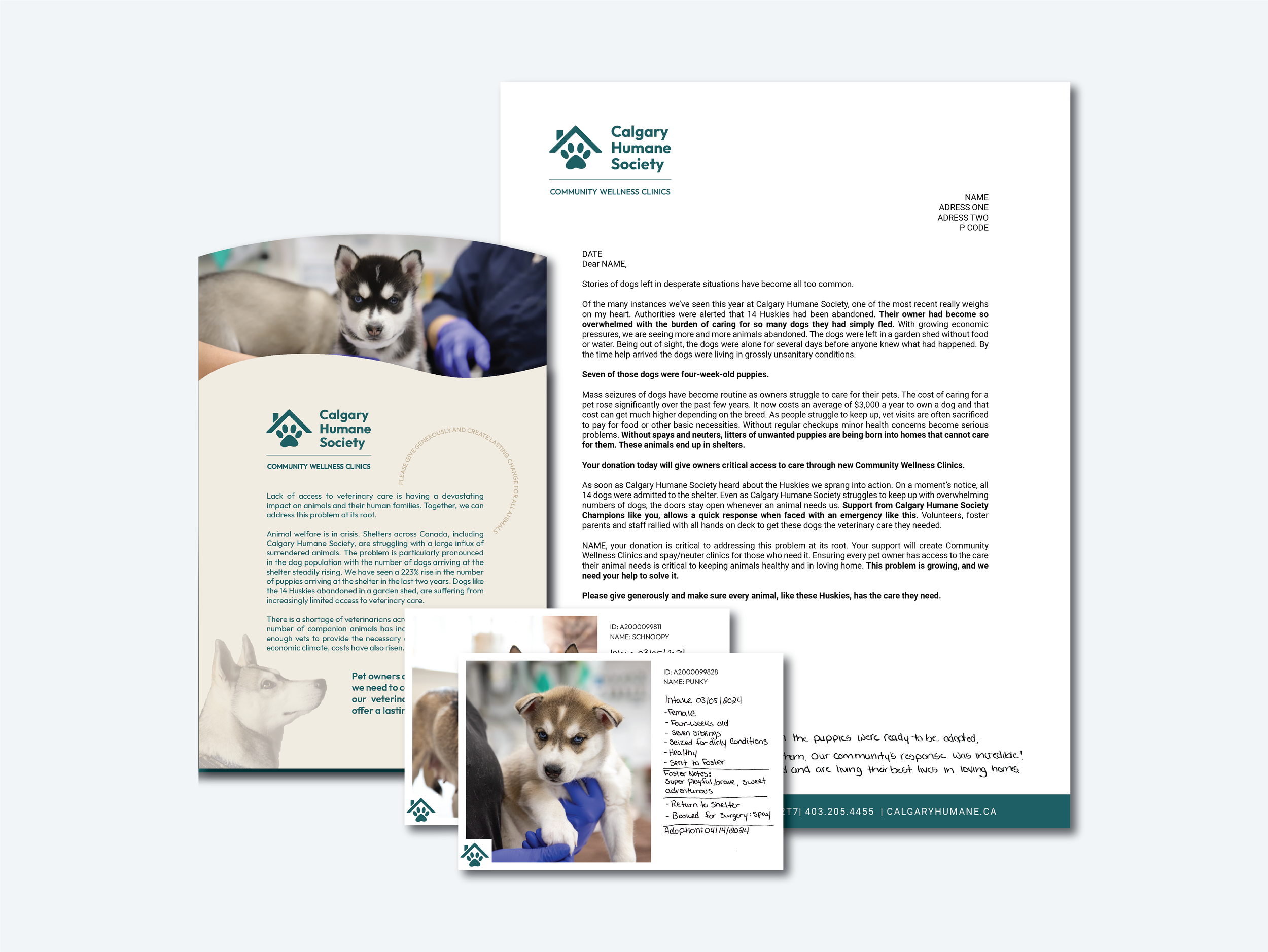 Direct Mail Design: Large Gifts