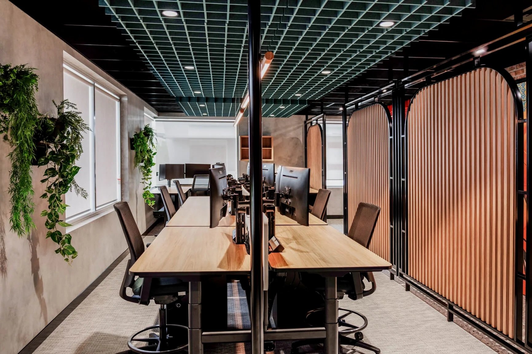 Modern office workspace with a long wooden table, multiple computer monitors, office chairs, and decorative plants on the walls, divided by wooden and black metal partitions.