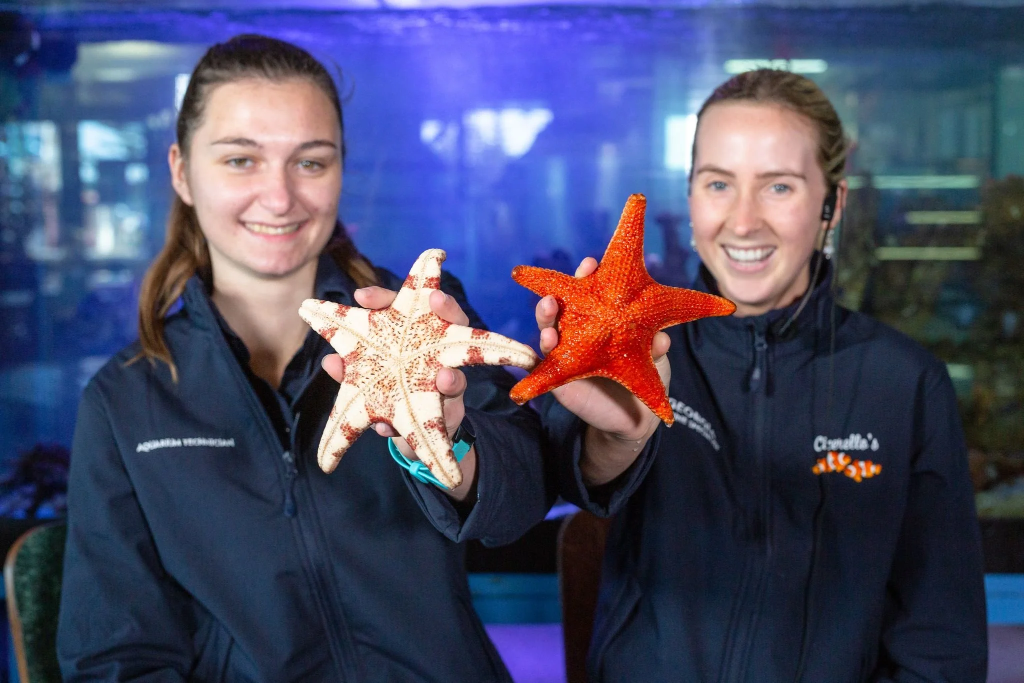 Sea Critters-7-web.jpg