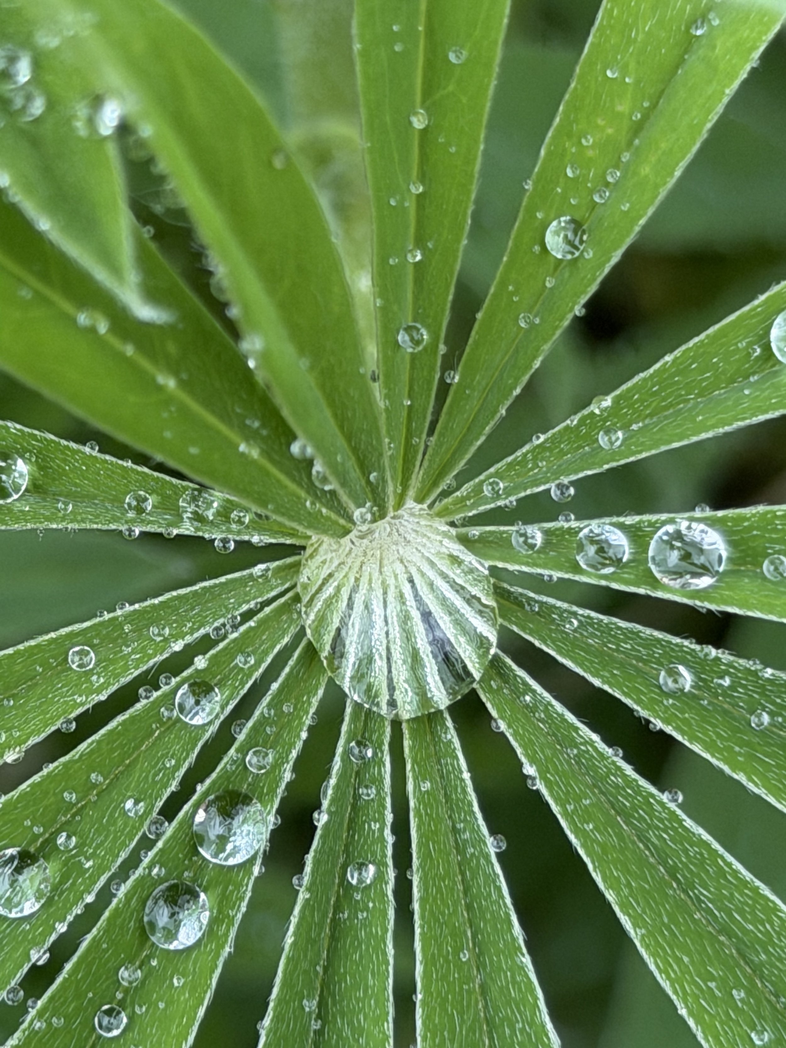 Droplet Target, all rights reserved