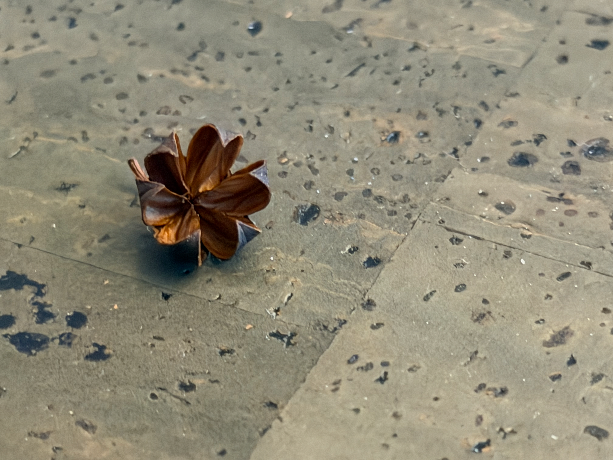 As If Carved by Time