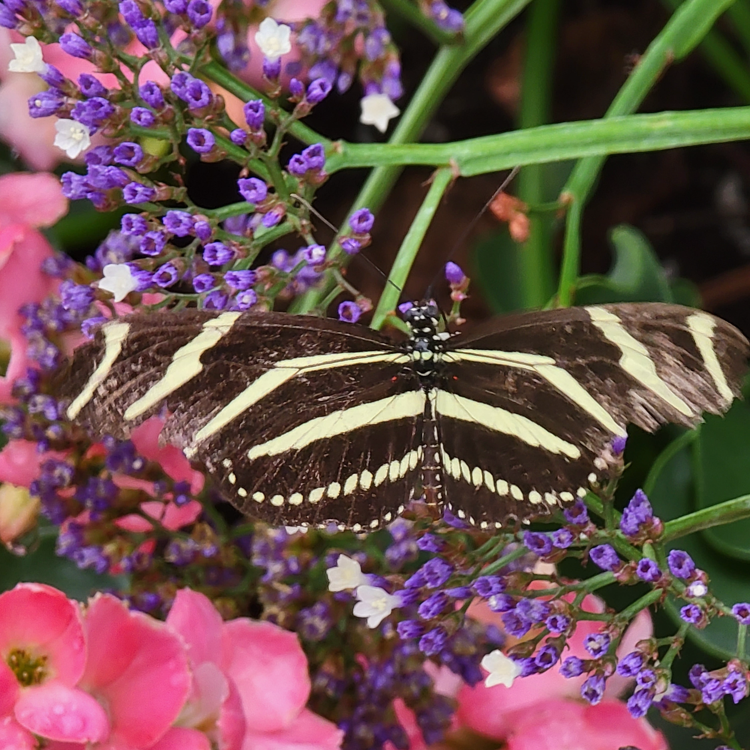 One Incredible Moment