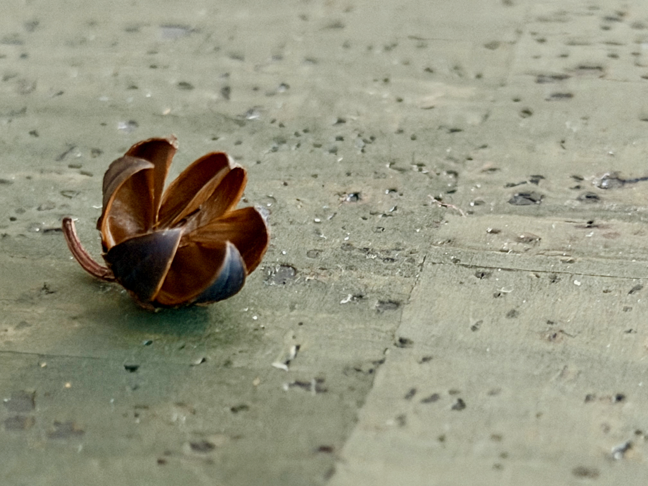 As If Carved by Time 2