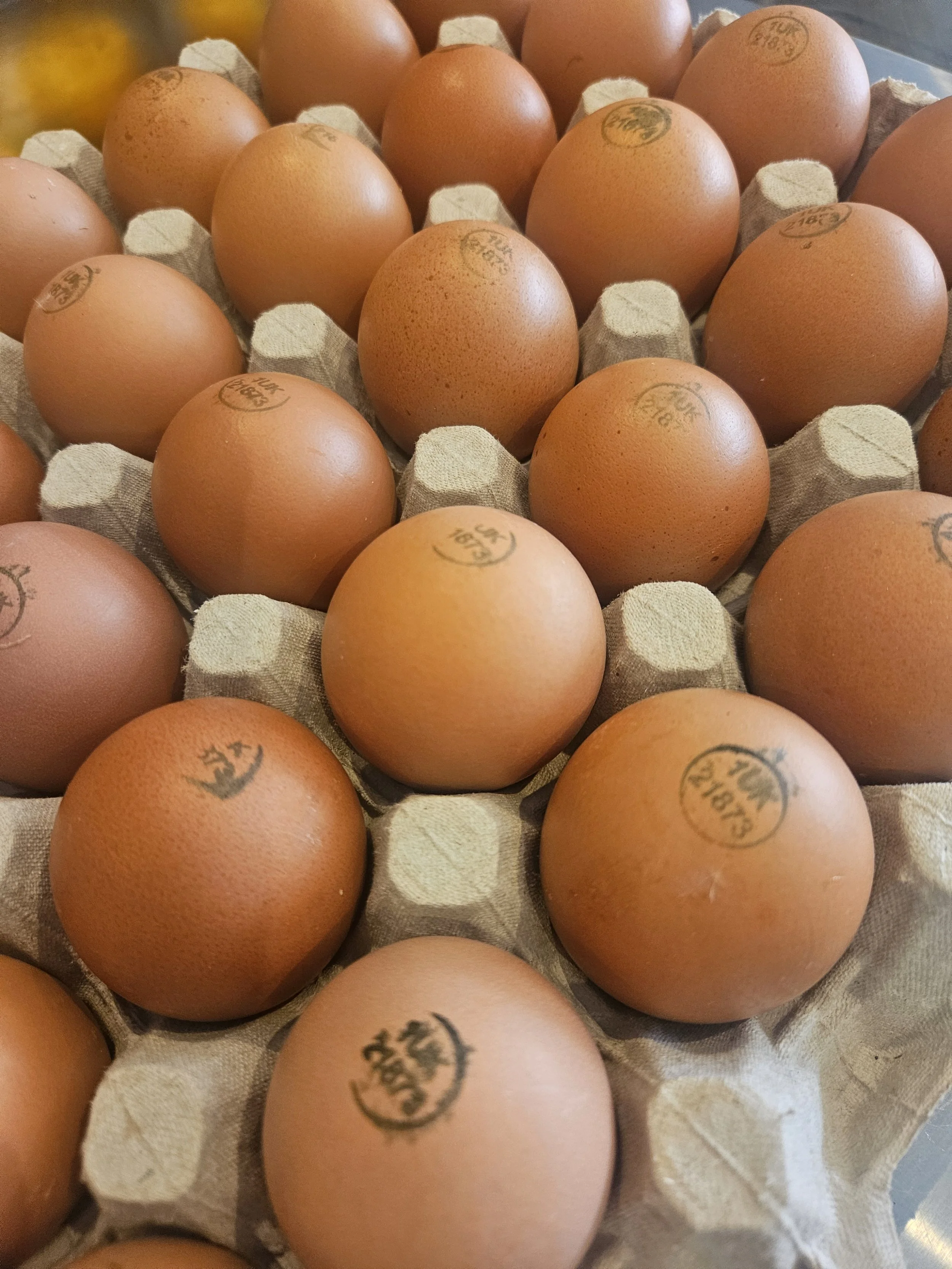 Salad Bowl - Egg Mayo