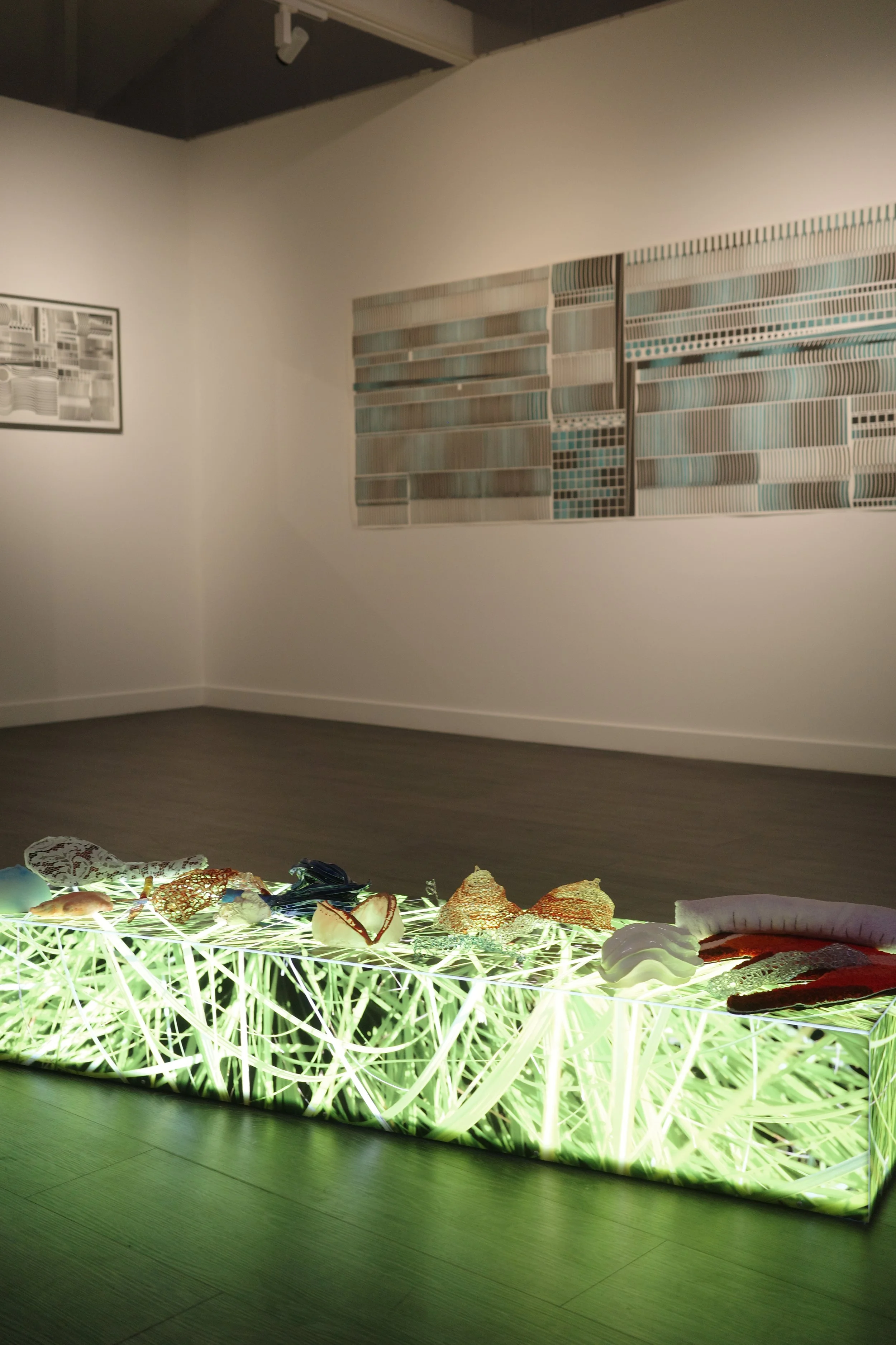 An art installation featuring a backlit display of various seashells and oceanic objects, illuminated with green light, against a white wall with framed artwork and a colorful mosaic wall in the background.