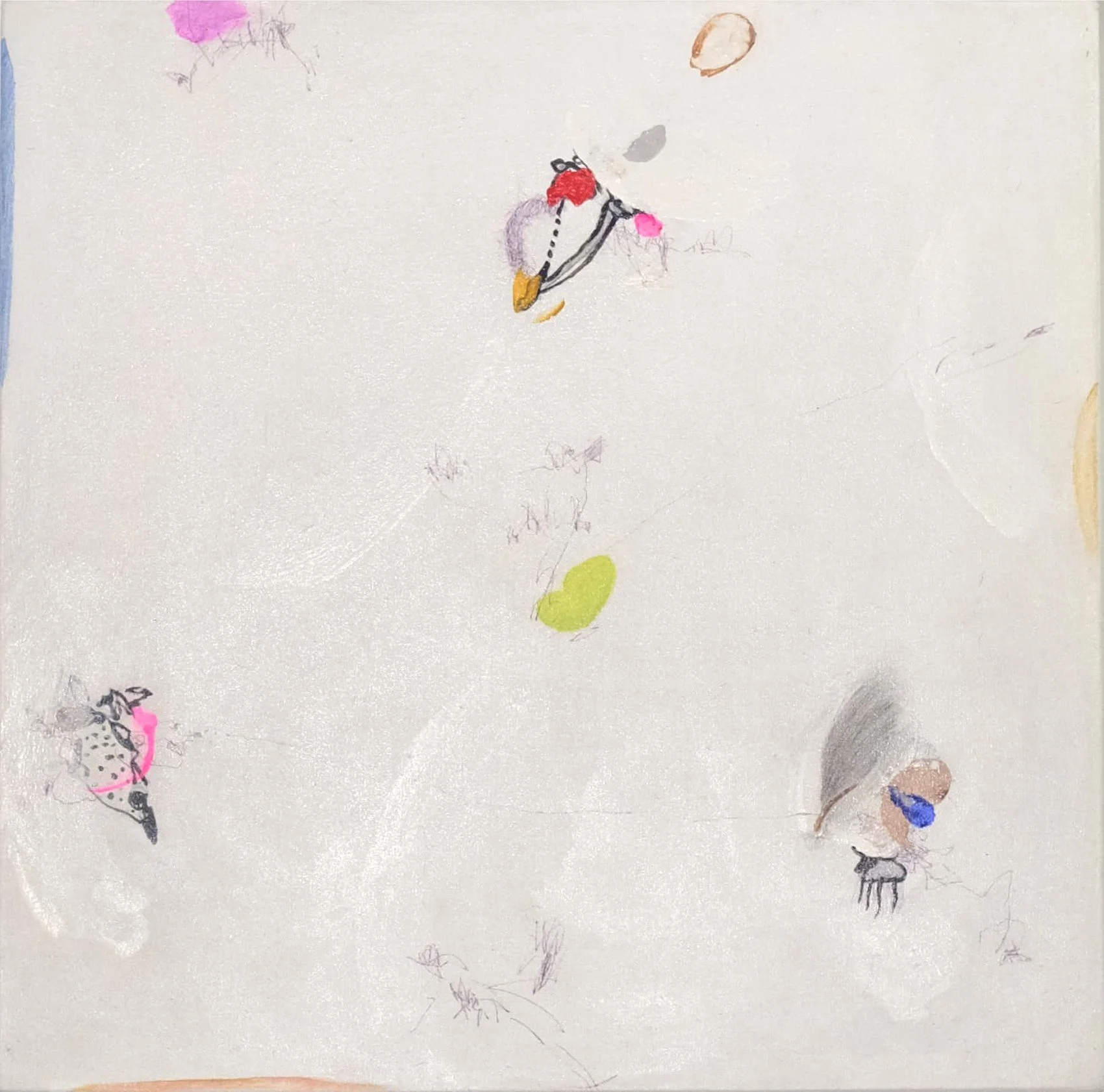  Song Bird #4 
 acrylic on canvas 
 100 cm x 100 cm, 2022 