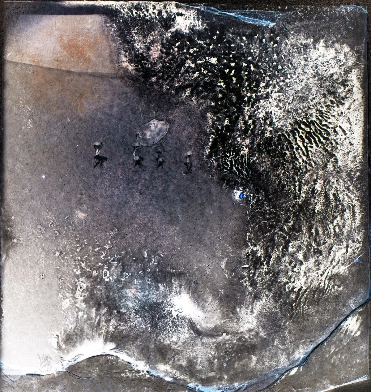  11 
 Print on photo paper 
 20 cm x 20 cm, 2016 