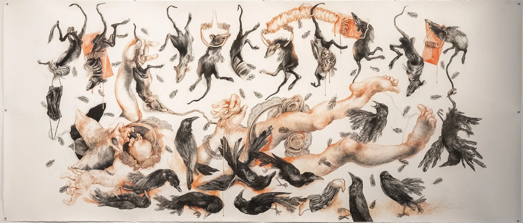  Evolution of Angels
 
 Mixed media drawing - conte, watercolour, ink, charcoal on paper
 
 270 cm x 114 cm 