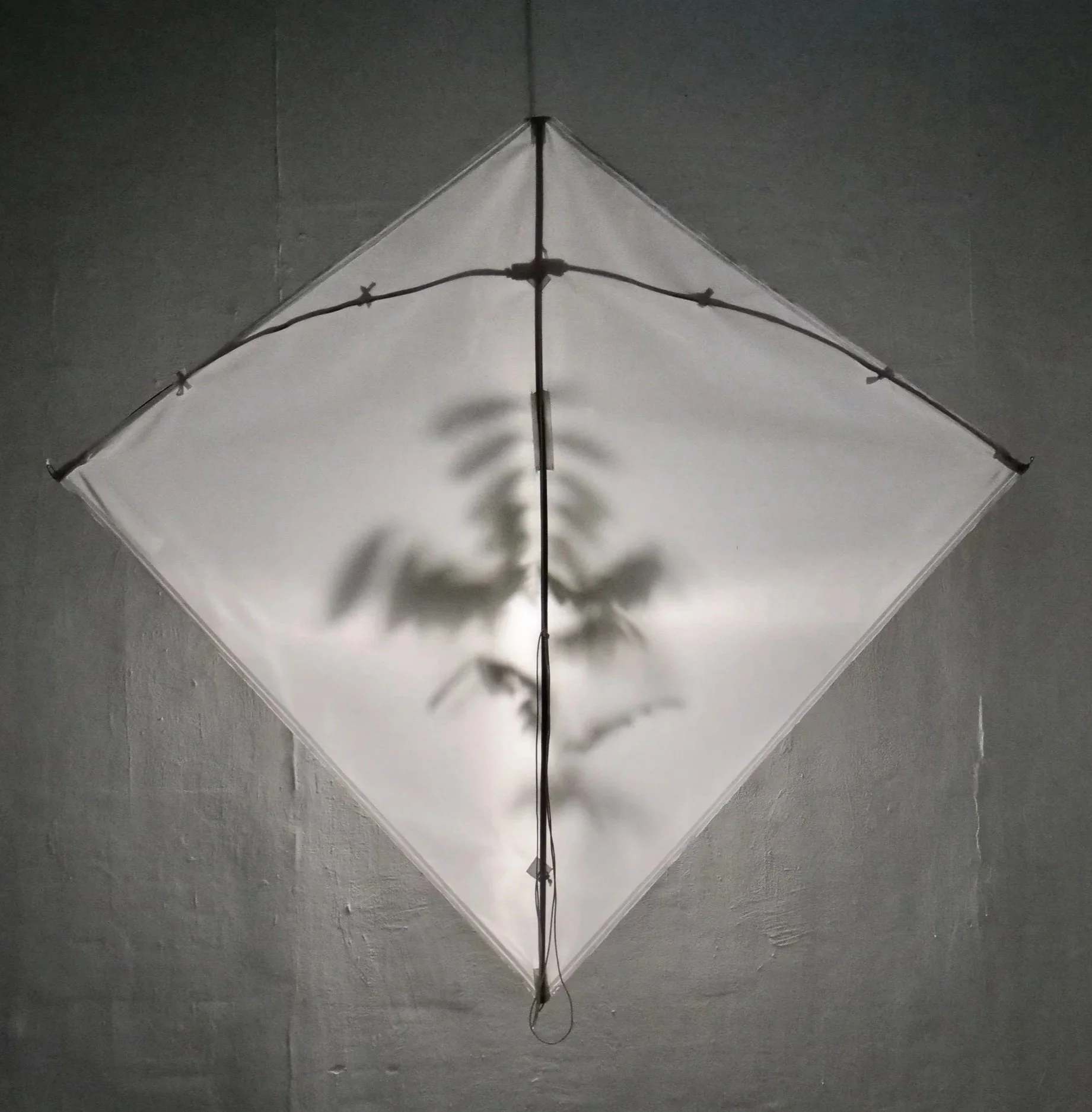 Installation+Artwork+%284%29.jpg