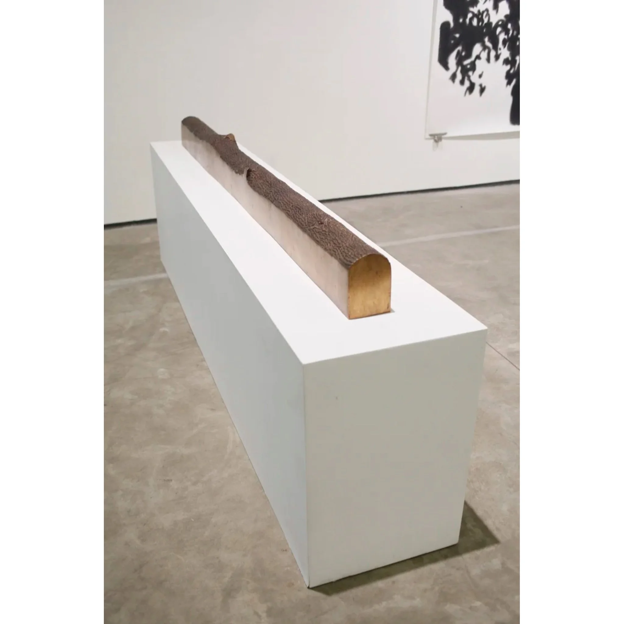  Anusapati 
 A Piece of Memory #2 
 Bronze 
 13 cm x 10 cm x 197 cm, 2012 