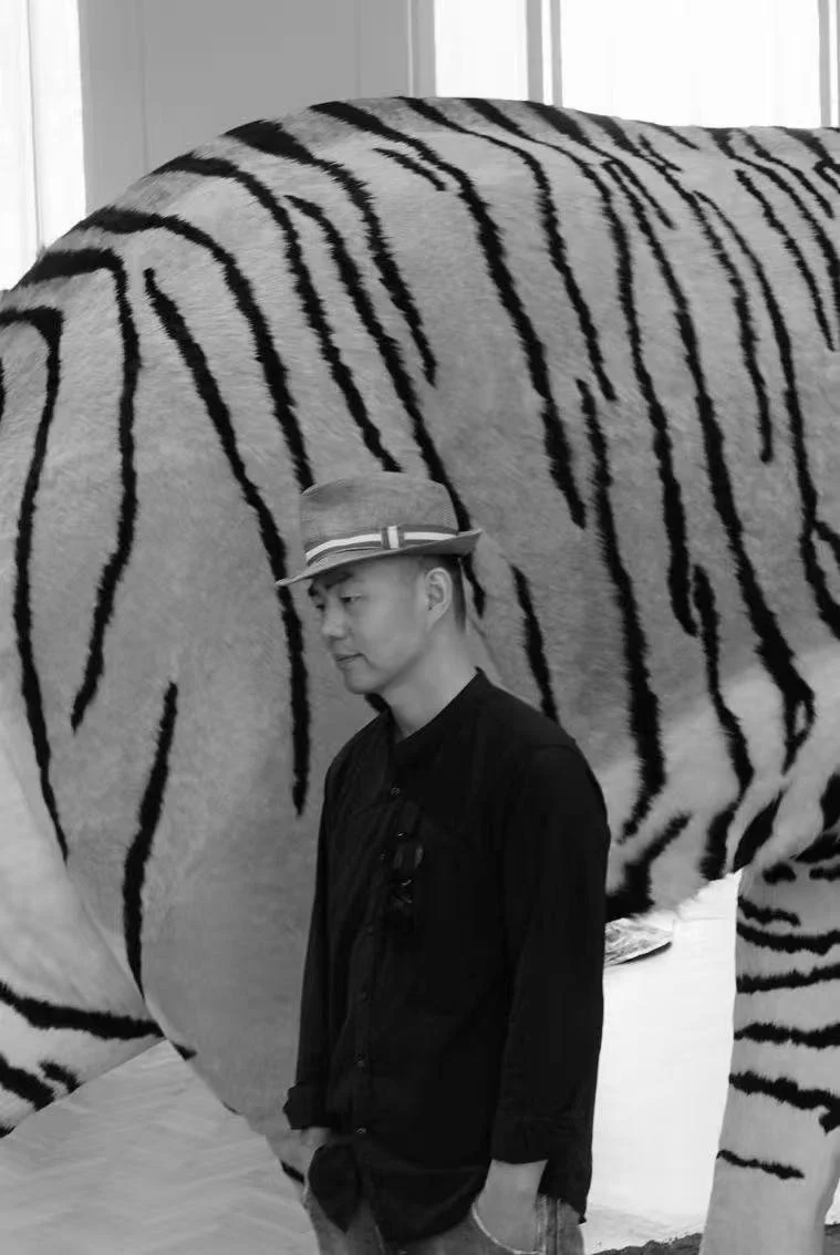 A person standing in front of a large, zebra-patterned object, with vaulted ceilings, a window, and curtains in the background.
