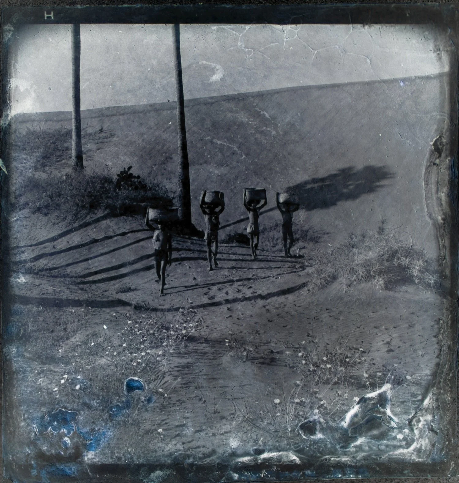  Abshar Platiza 
 20 
 Print on photo paper 
 20 cm x 20 cm, 2016 