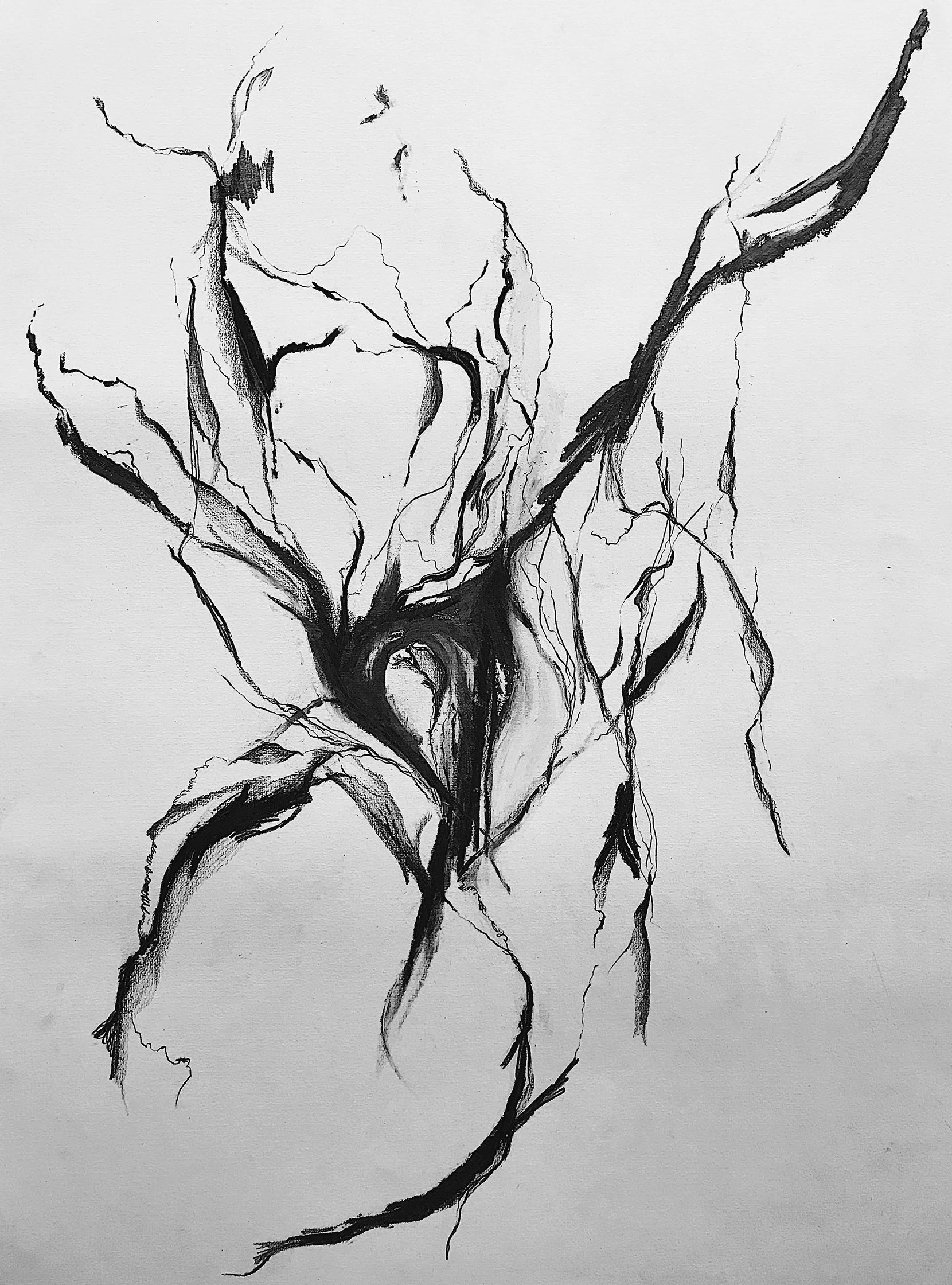  Divalproex 
 Charcoal and pencil on paper 
 59,4 cm x 84,1 cm, 2021 