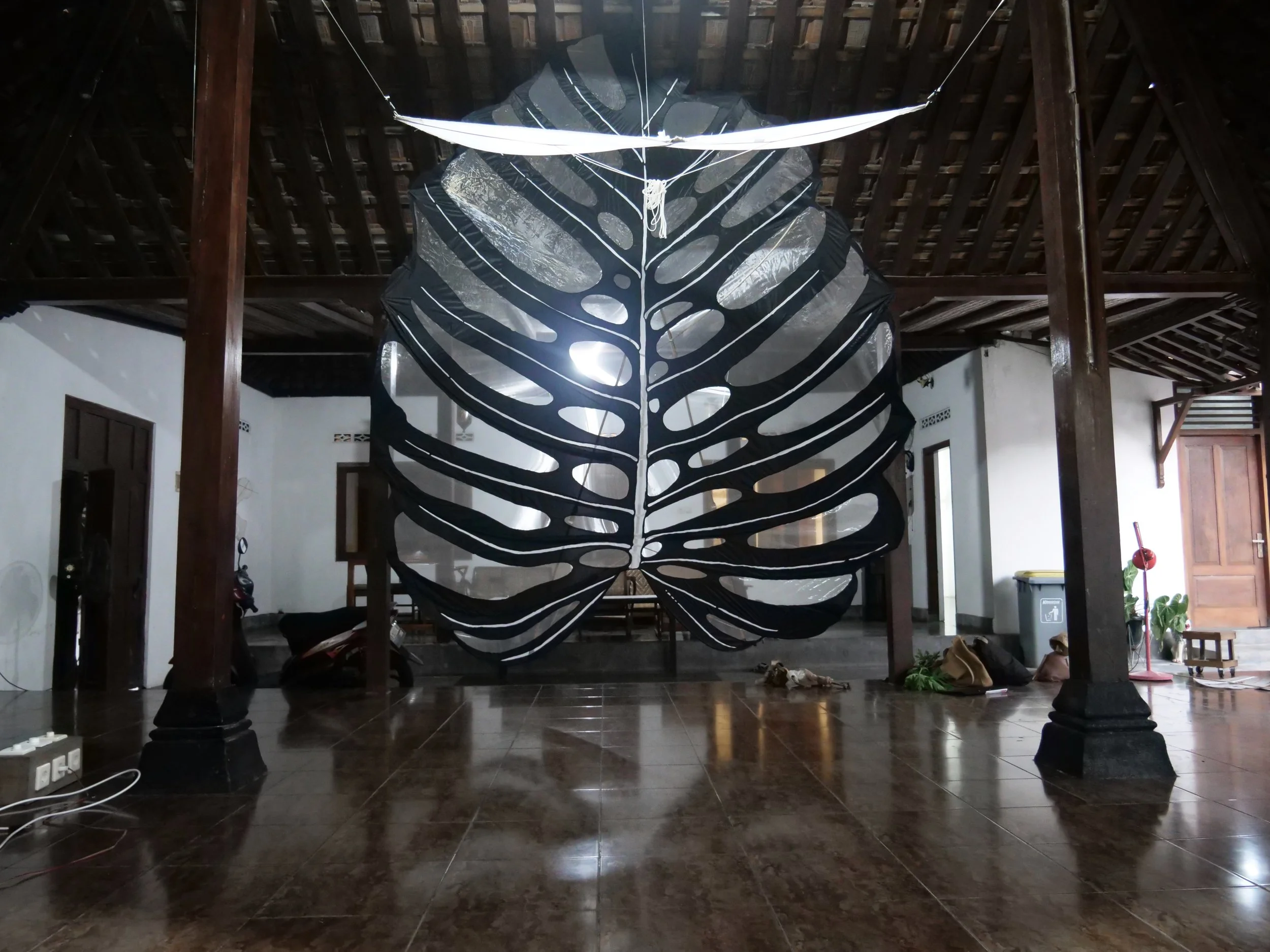 Installation Artwork (11).jpeg