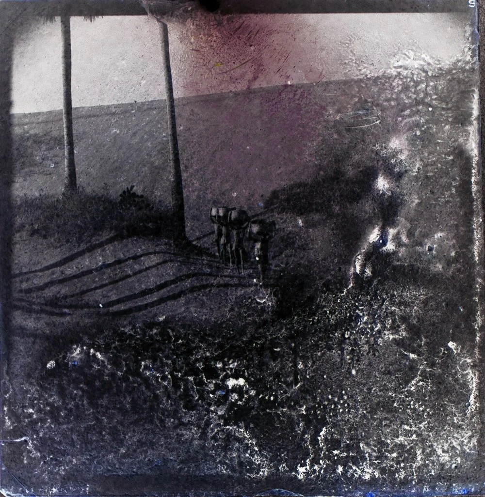  12 
 Print on photo paper 
 20 cm x 20 cm, 2016 