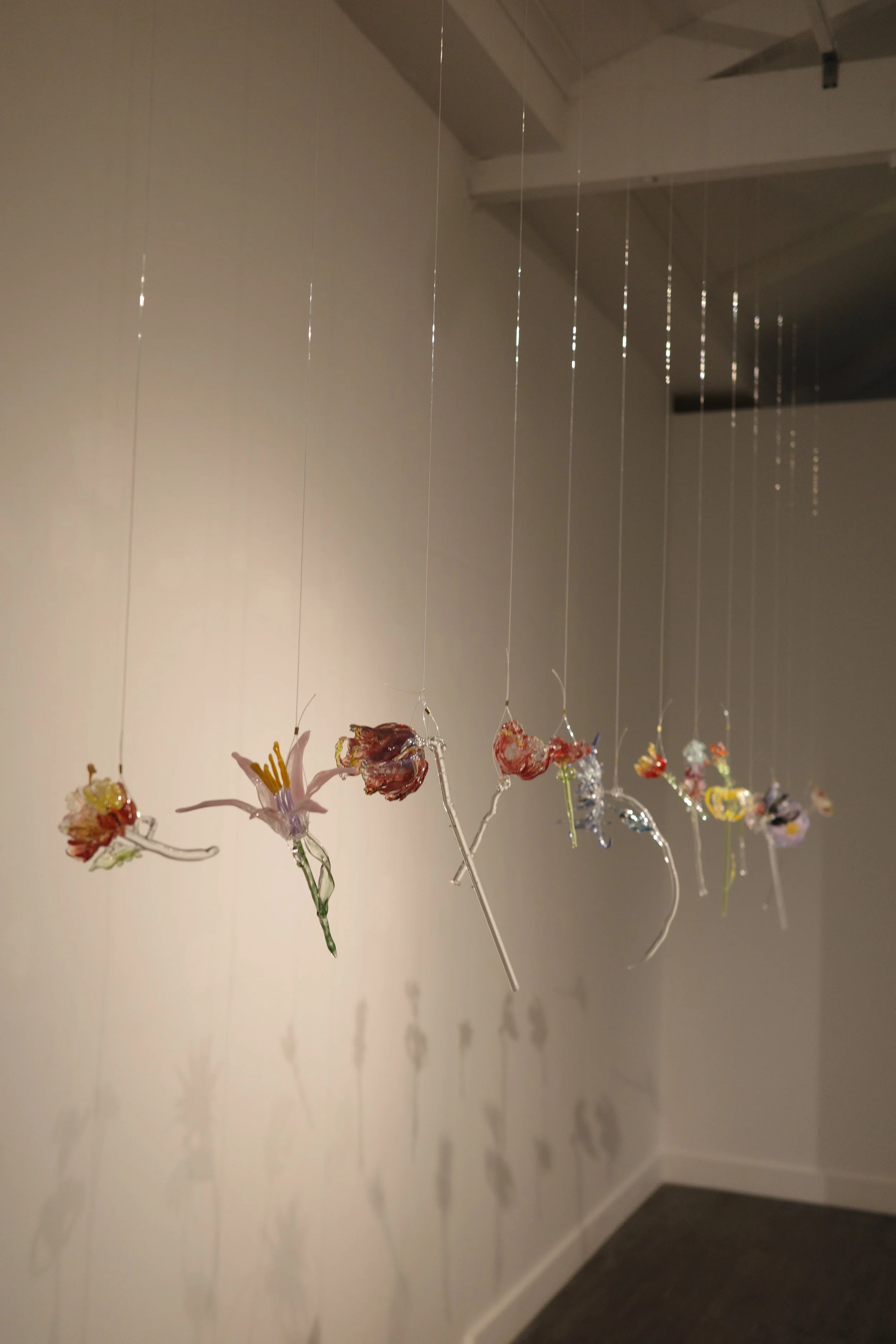 Glass art installation featuring glass flowers hanging from thin wires in an art gallery, with a plain wall and ceiling in the background.