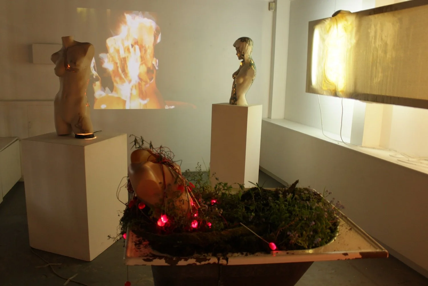 michal-mitro_beauty-installation_null_NULL.jpg