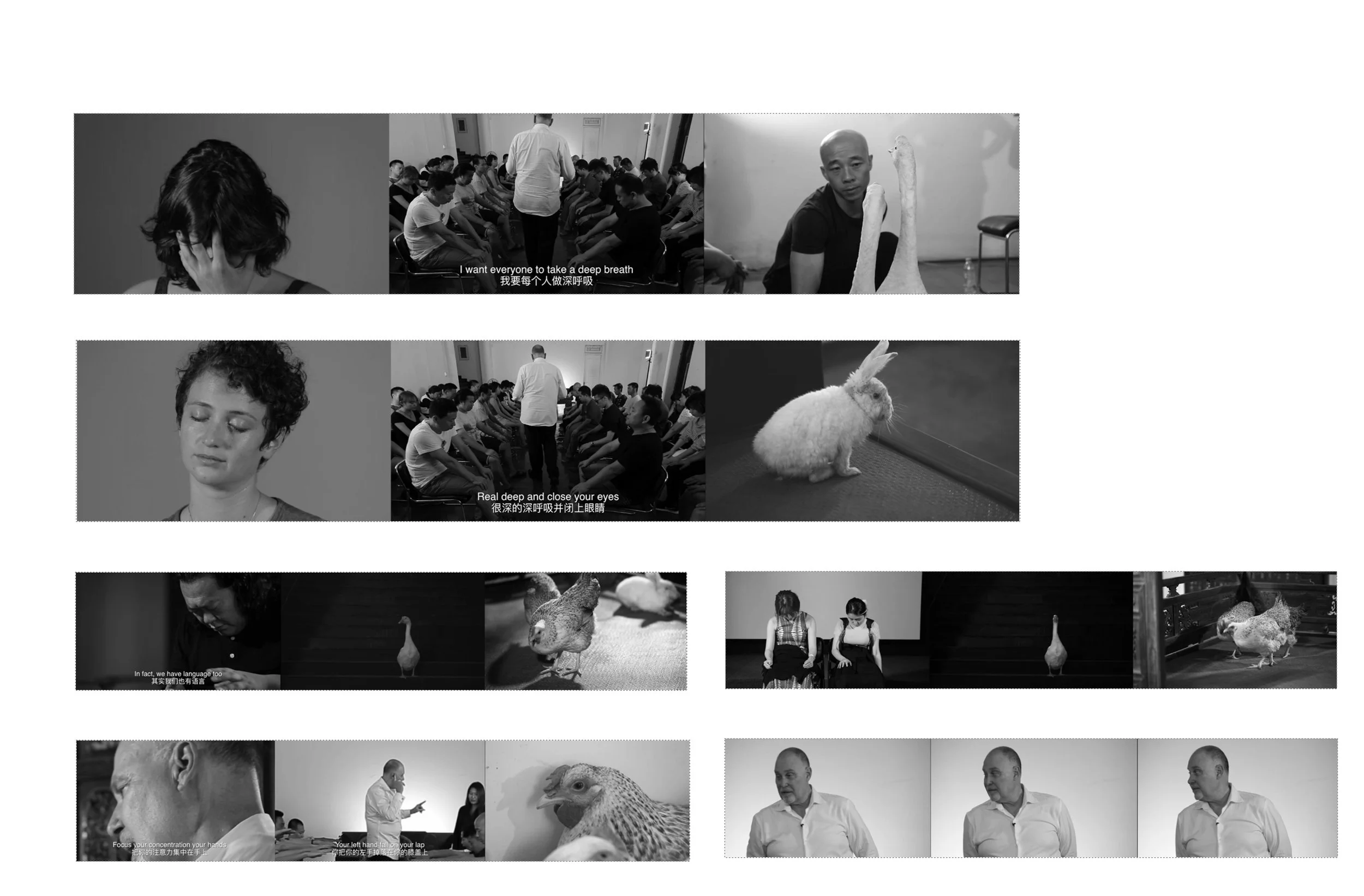  “The Hypnotized Artist” - Shen Shaomin & Lisa Roet
 
 Video, 6 minutes 54 seconds.
 
 2012 