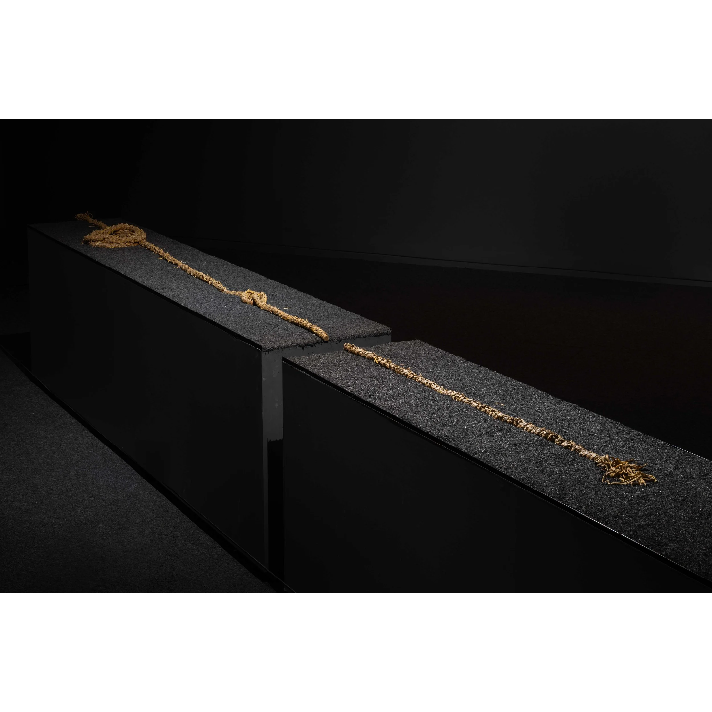  Severed, eternal
 
 Ceramic Installation
 
 400cm in length
, 2025 