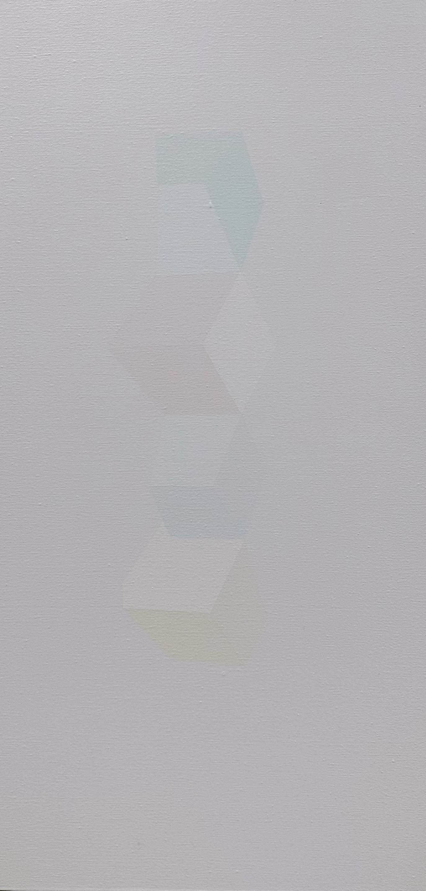  20230726 
 Acrylic on canvas 
 100cm x 50cm, 2023 