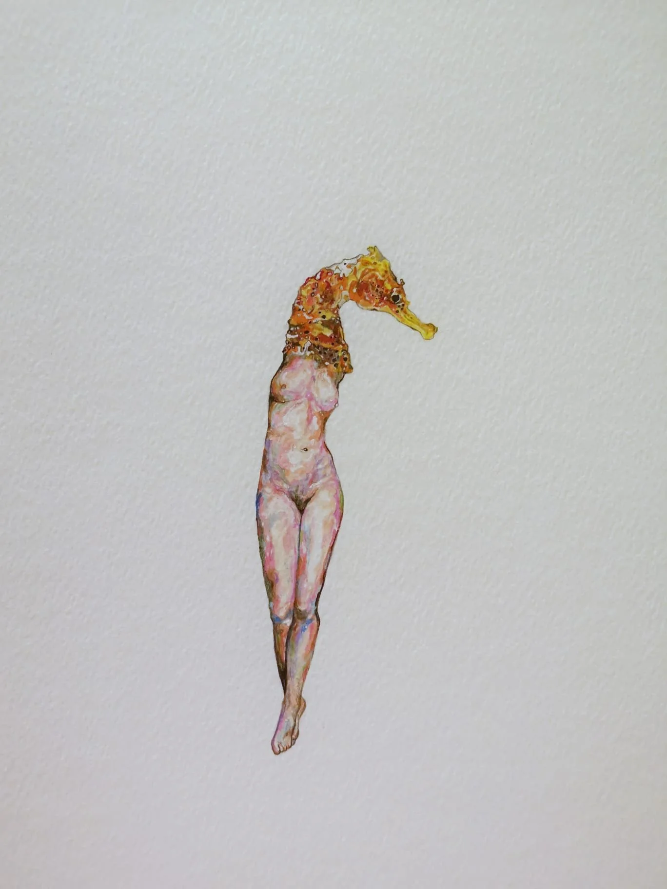 vania-gunarti_celibate-fish-and-fast-growing-mushrooms-17_watercolour-and-coloured-pencil-on-paper_2.jpg
