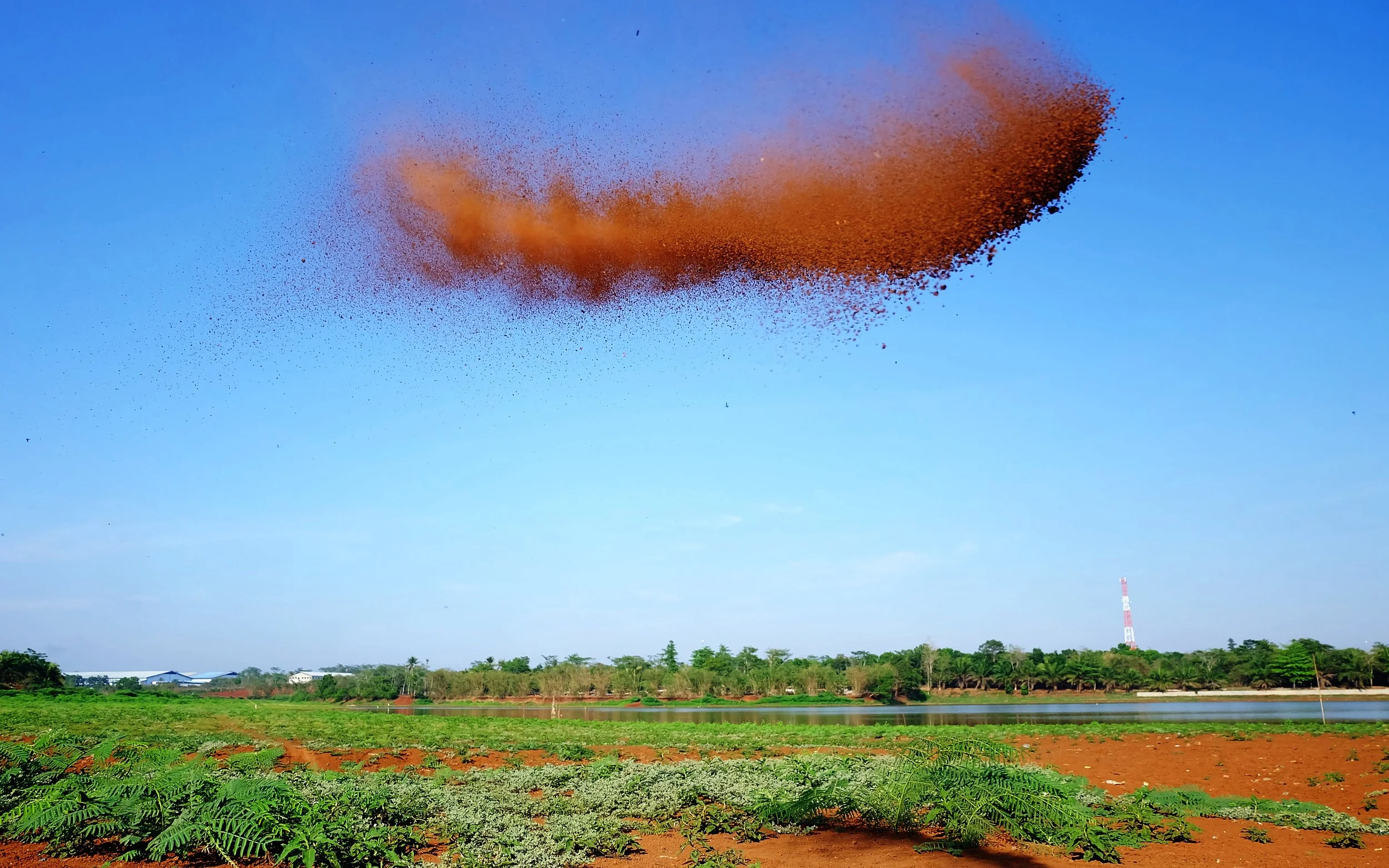  Ci Puloh 
 Soil #1 
  
 70 cm x 44 cm 