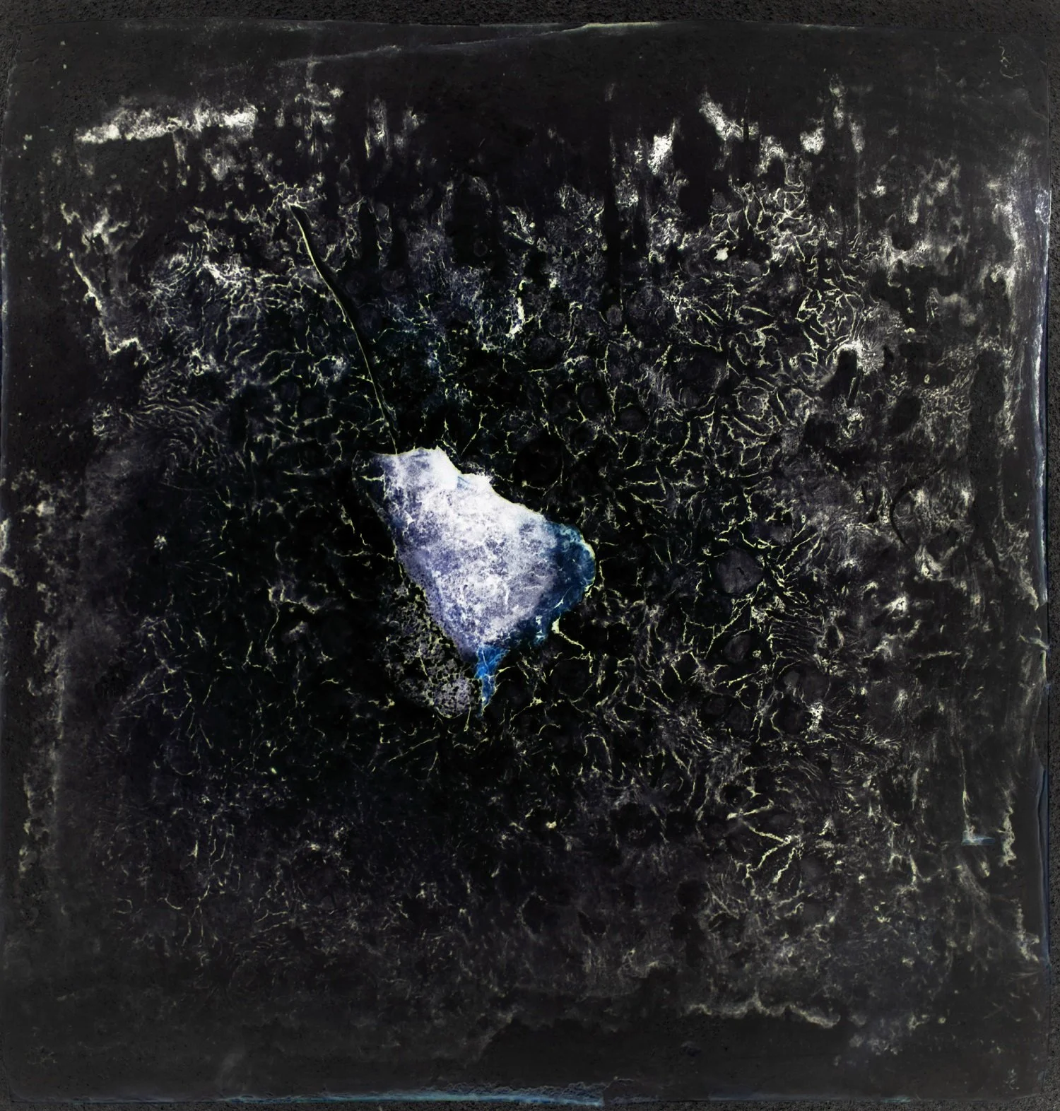  23 
 Print on photo paper 
 20 cm x 20 cm, 2016 