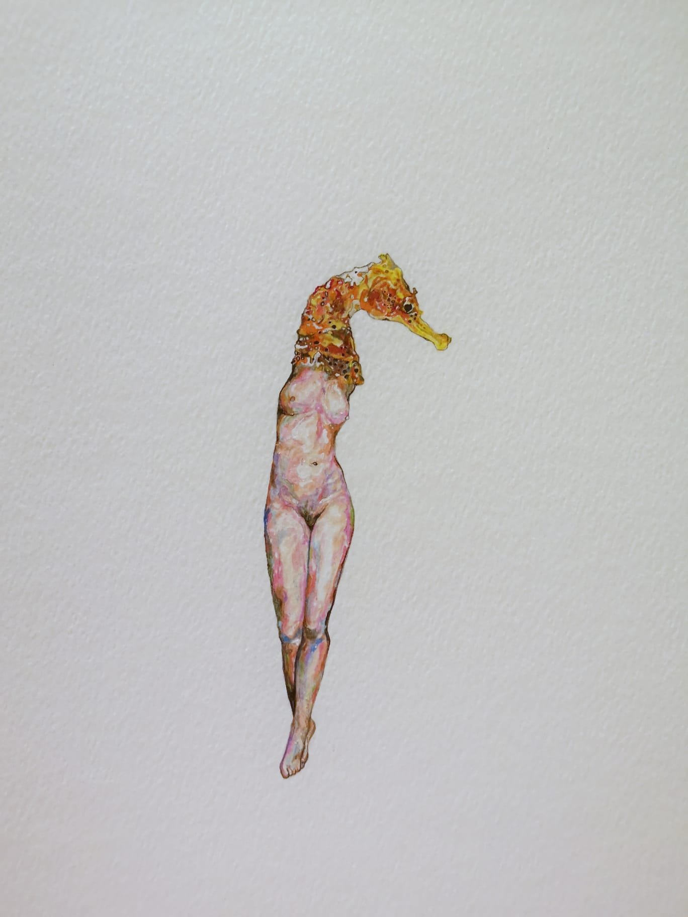 vania-gunarti_celibate-fish-and-fast-growing-mushrooms-17_watercolour-and-coloured-pencil-on-paper_25-x-32-cm_2022.jpg