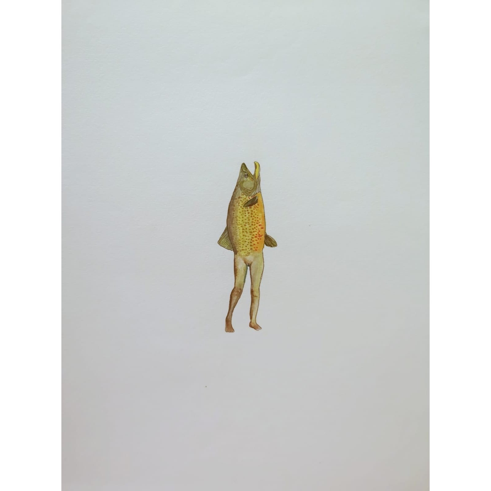  Celibate Fish and Fast-Growing Mushrooms #9 
 Watercolour and coloured pencil on paper 
 35 x 43 cm, 2022 
