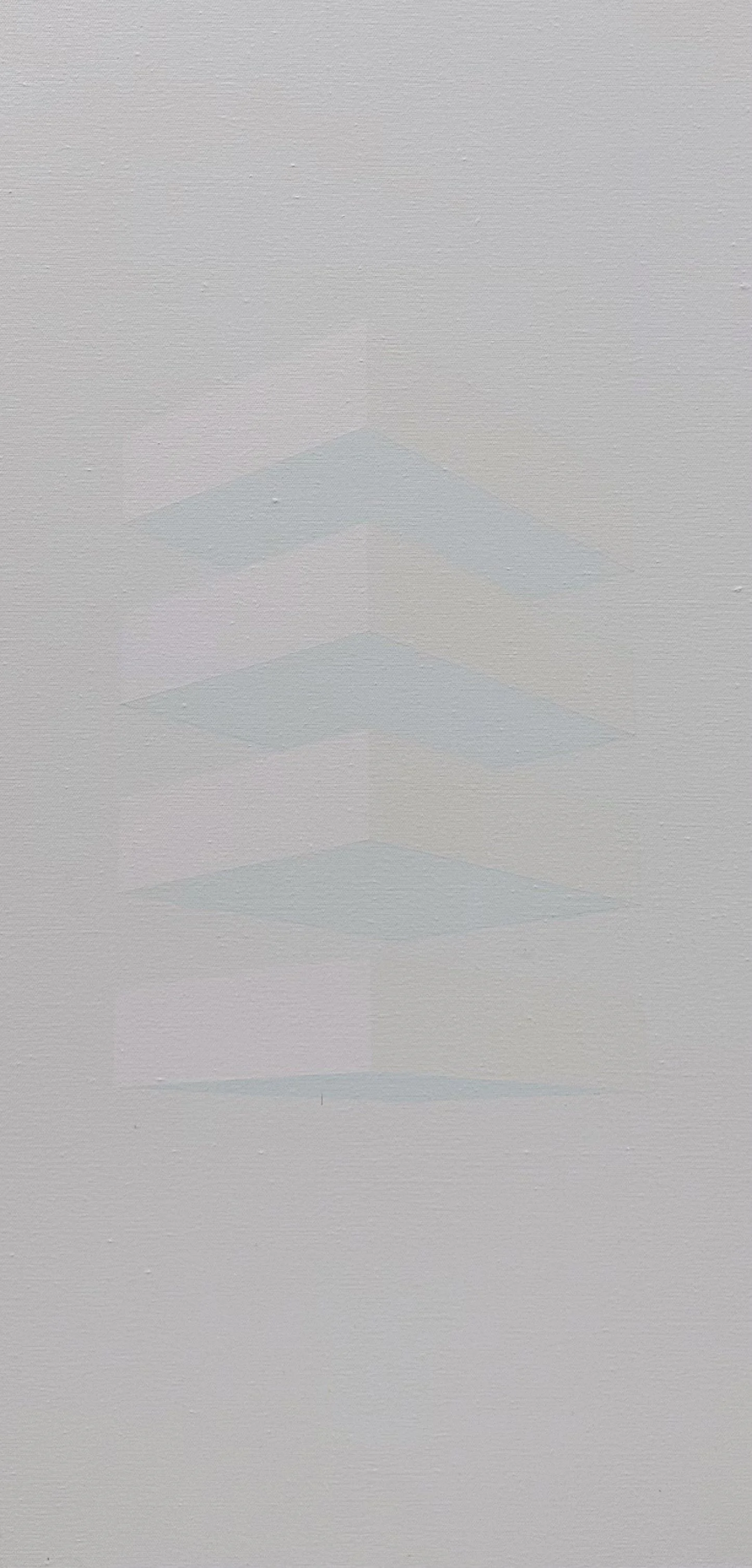  20240919 
 Acrylic on canvas 
 100cm x 50cm, 2024 