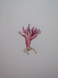 vania-gunarti_celibate-fish-and-fast-growing-mushrooms-21_watercolour-and-coloured-pencil-on-paper_25-x-32-cm_2022.jpg